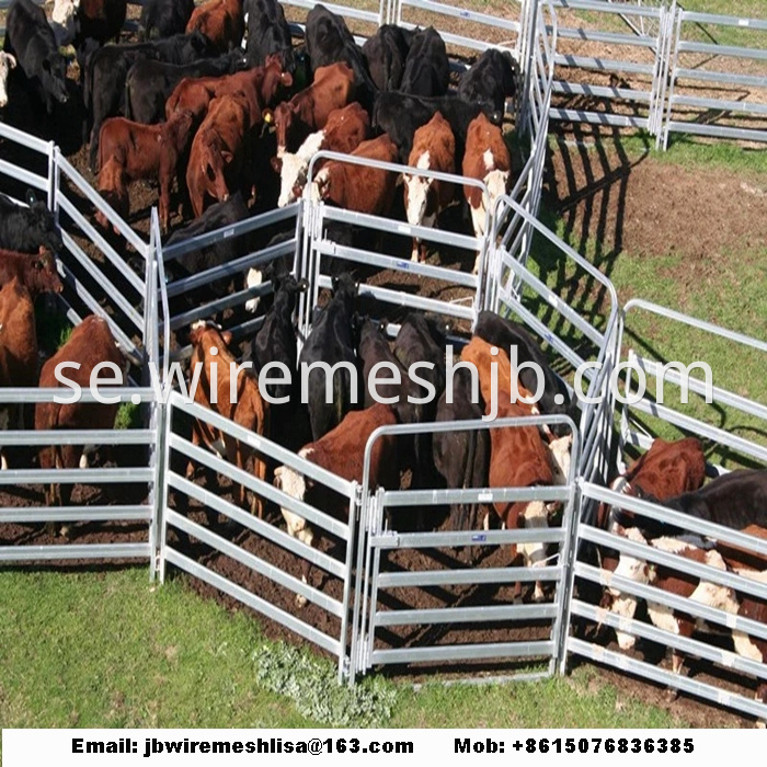 Galvanized Portable Horse Fence Panel